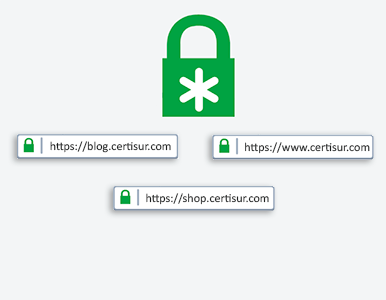 Certificado SSL WildCard vs SAN